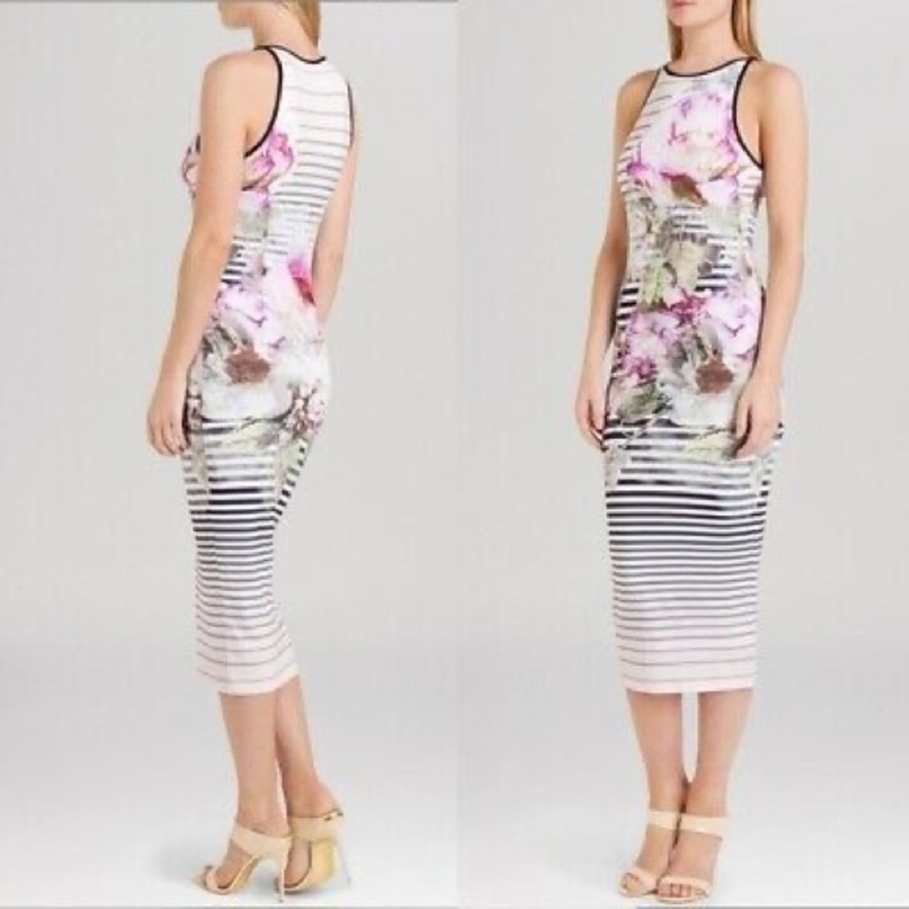 Ted Baker Laya Peony floral stripe dress